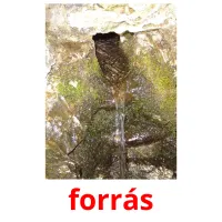 forrás Bildkarteikarten