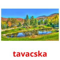 tavacska card for translate