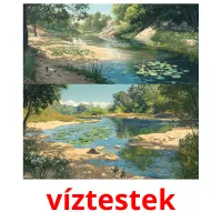 víztestek Bildkarteikarten