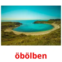 öbölben Bildkarteikarten