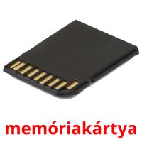 memóriakártya cartões com imagens