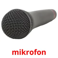 mikrofon Bildkarteikarten