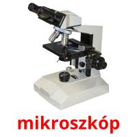 mikroszkóp flashcards illustrate