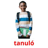 tanuló picture flashcards