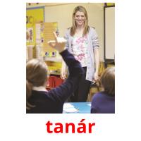 tanár flashcards illustrate