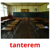 tanterem Bildkarteikarten