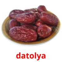 datolya card for translate