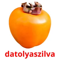 datolyaszilva Bildkarteikarten