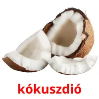 kókuszdió Bildkarteikarten