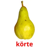 körte Bildkarteikarten