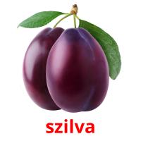 szilva card for translate