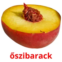 őszibarack Bildkarteikarten