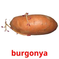 burgonya Bildkarteikarten