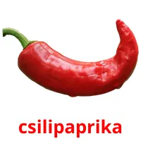 csilipaprika Bildkarteikarten