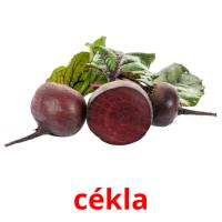 cékla card for translate