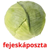 fejeskáposzta Bildkarteikarten