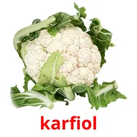 karfiol Bildkarteikarten