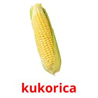 kukorica card for translate