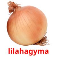 lilahagyma picture flashcards