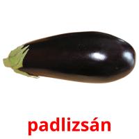 padlizsán picture flashcards