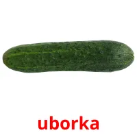 uborka Bildkarteikarten