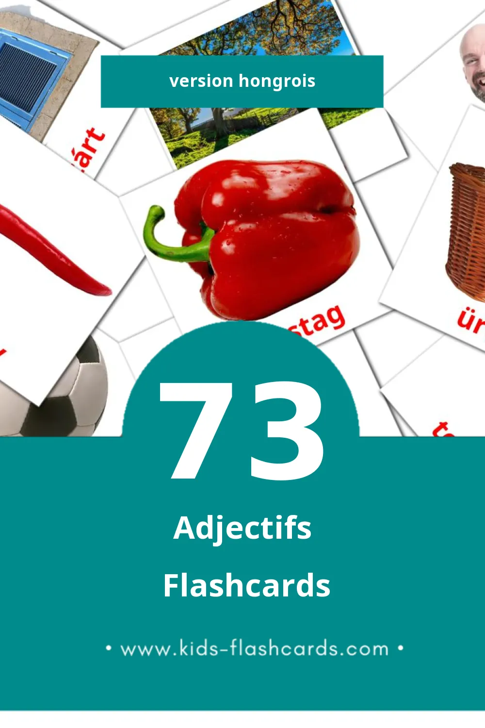 Flashcards Visual Melléknevek pour les tout-petits (73 cartes en Hongrois)