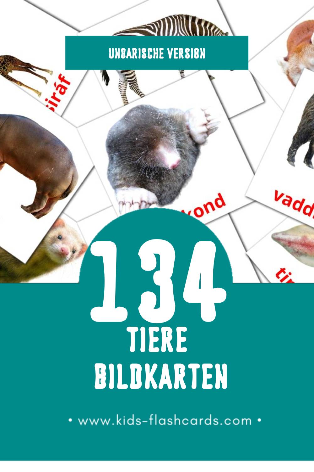 Visual Állatok Flashcards für Kleinkinder (134 Karten in Ungarisch)