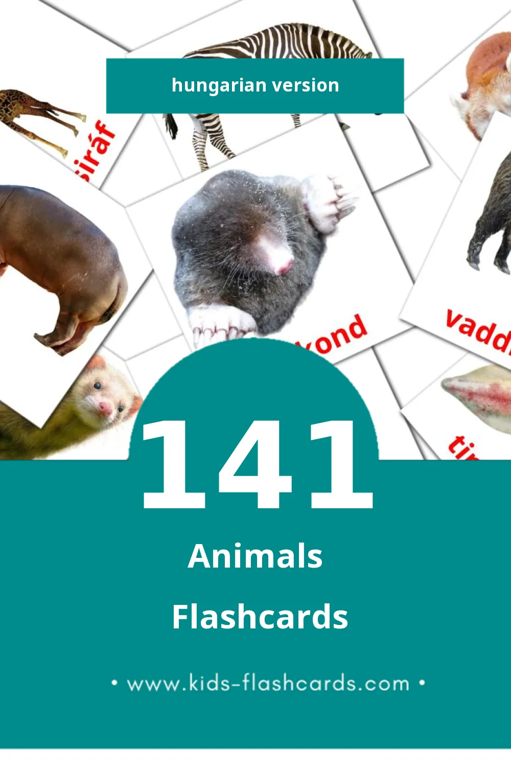 Visual Állatok Flashcards for Toddlers (141 cards in Hungarian)