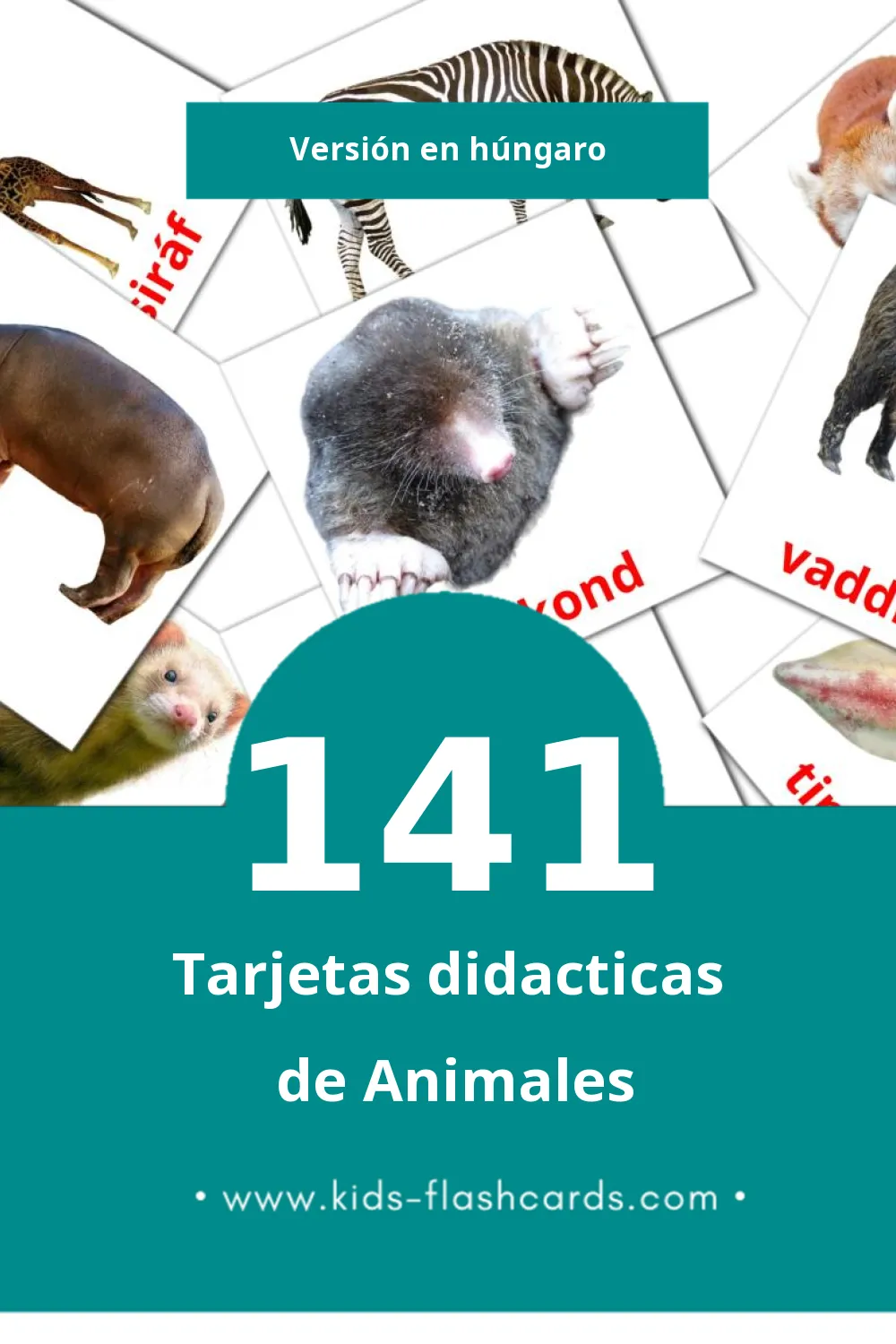 Tarjetas visuales de Állatok para niños pequeños (141 tarjetas en Húngaro)