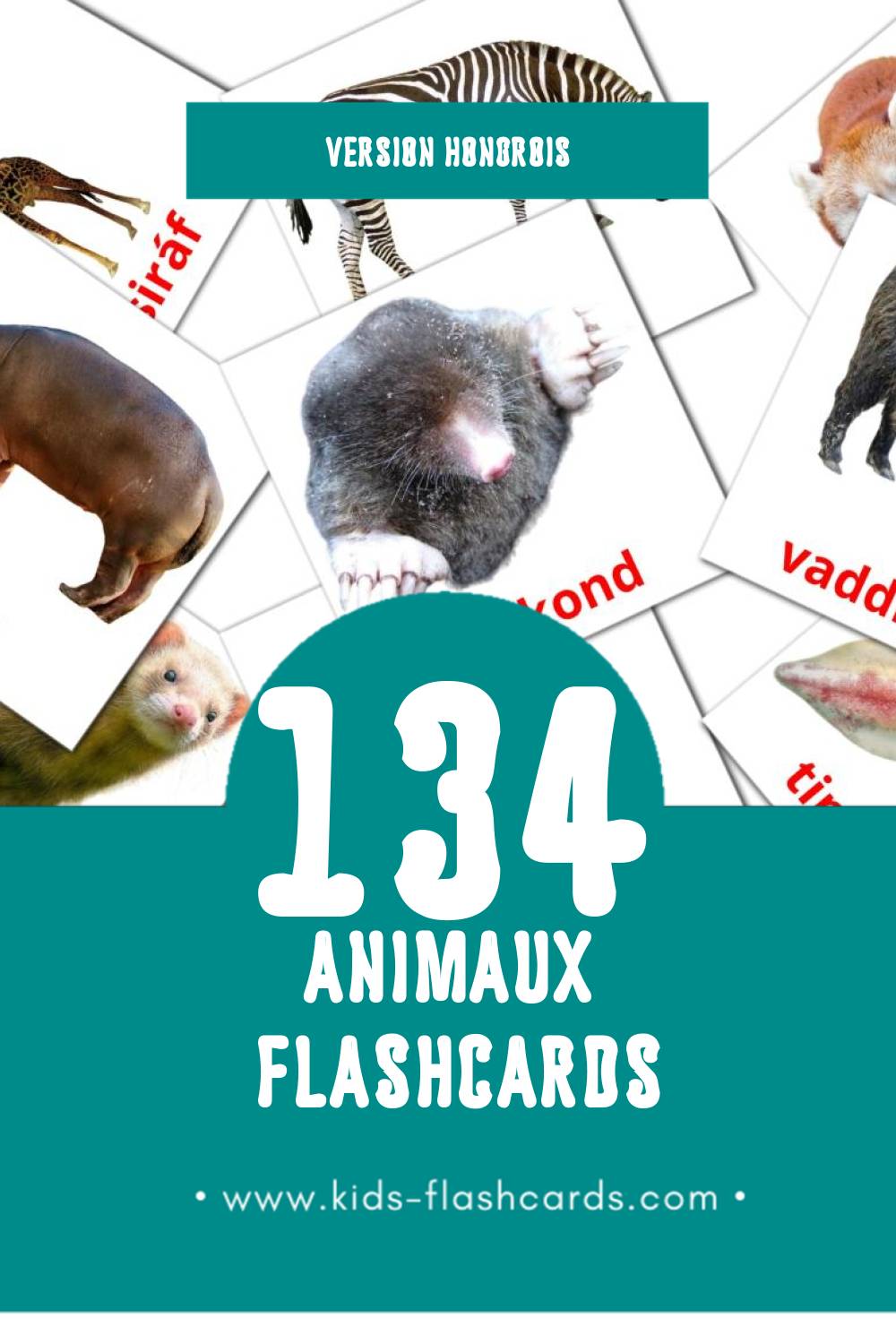 Flashcards Visual Állatok pour les tout-petits (134 cartes en Hongrois)