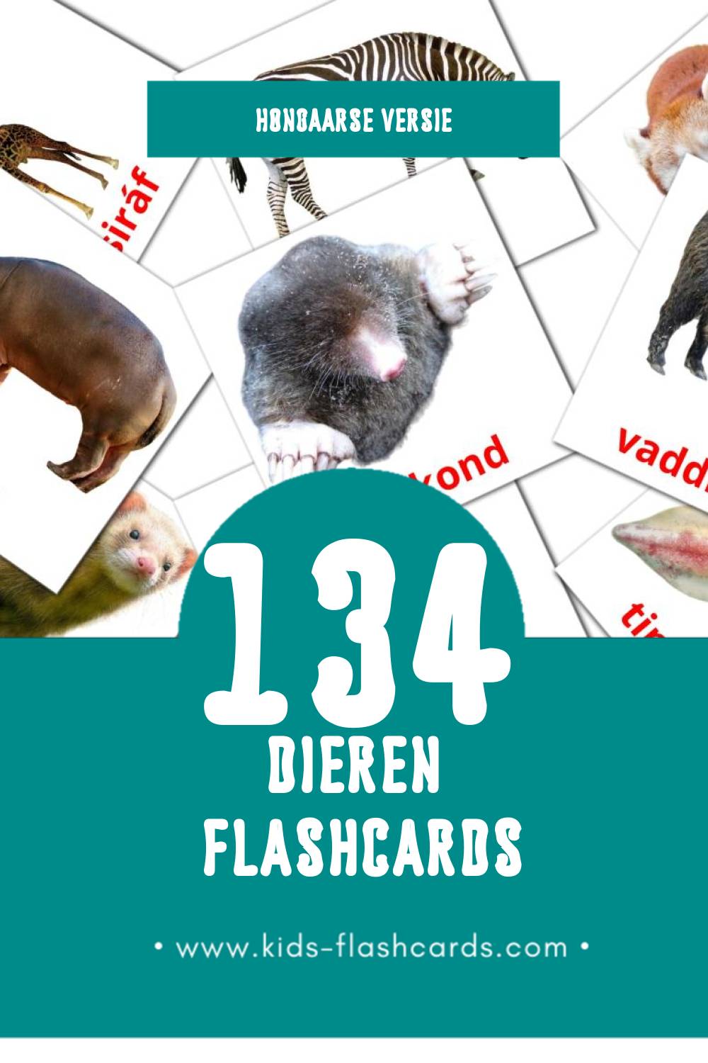 Visuele Állatok Flashcards voor Kleuters (134 kaarten in het Hongaars)