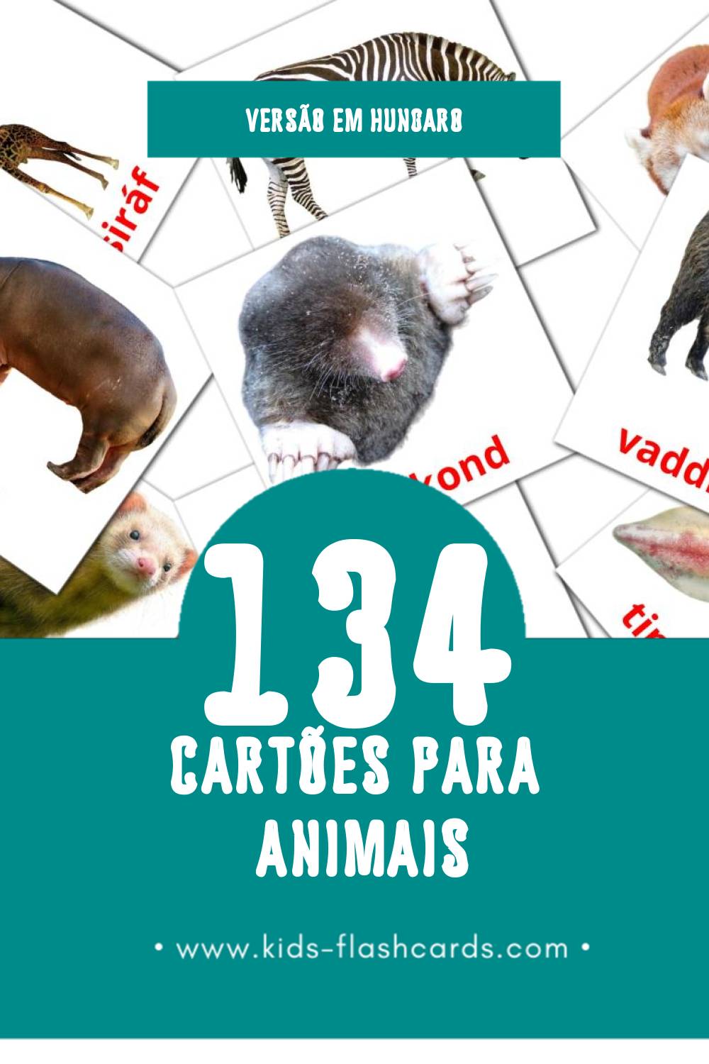 Flashcards de Állatok Visuais para Toddlers (134 cartões em Hungaro)