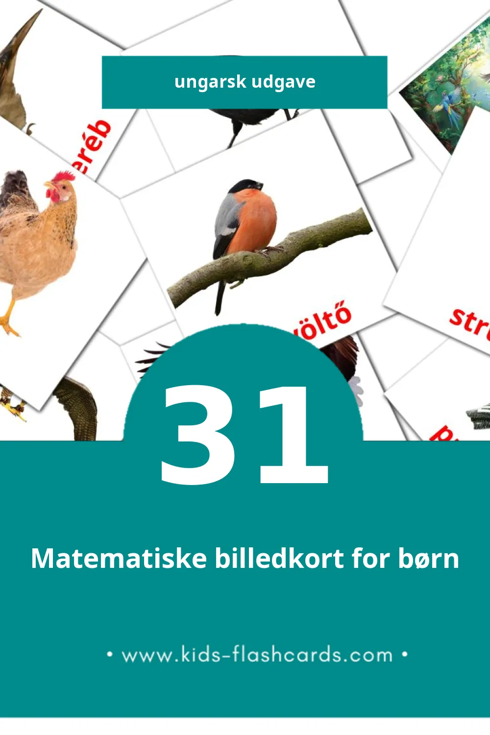Visuelle billedkort for børn om Madarak til småbørn (31 kort på Ungarsk)