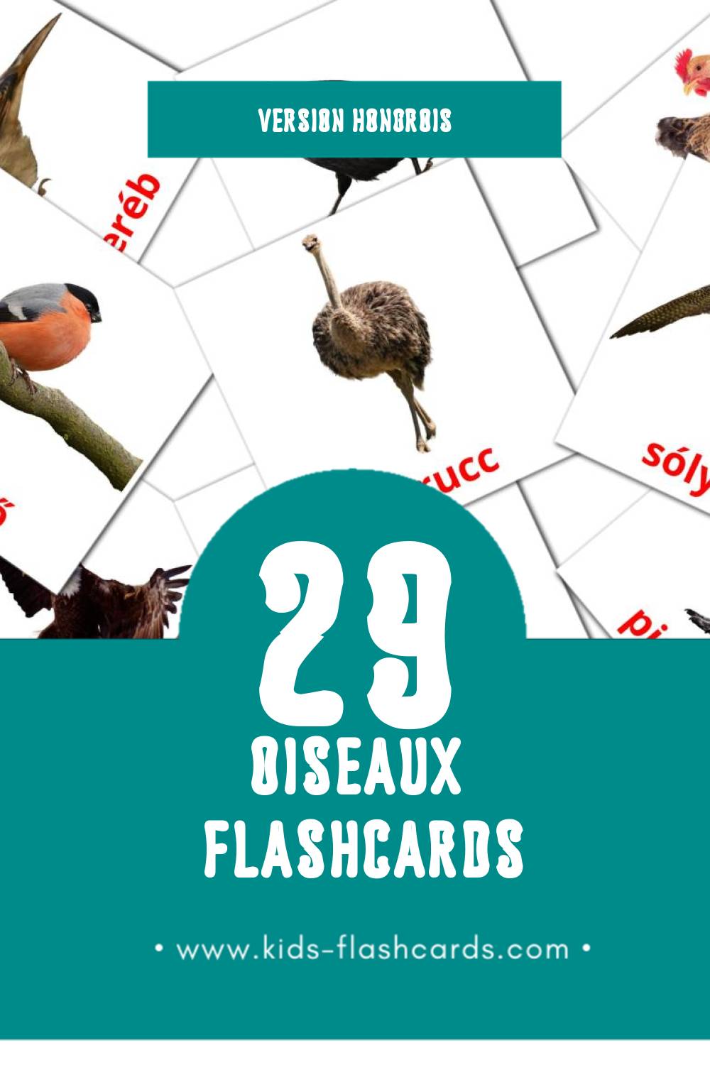 Flashcards Visual Madarak pour les tout-petits (29 cartes en Hongrois)