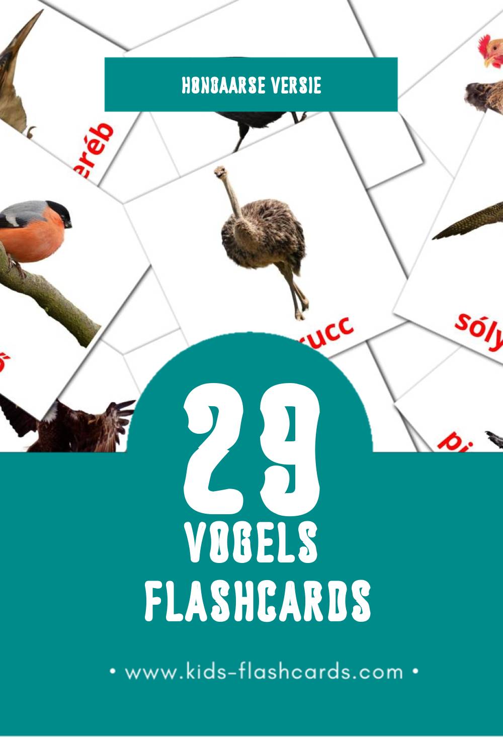 Visuele Madarak Flashcards voor Kleuters (29 kaarten in het Hongaars)