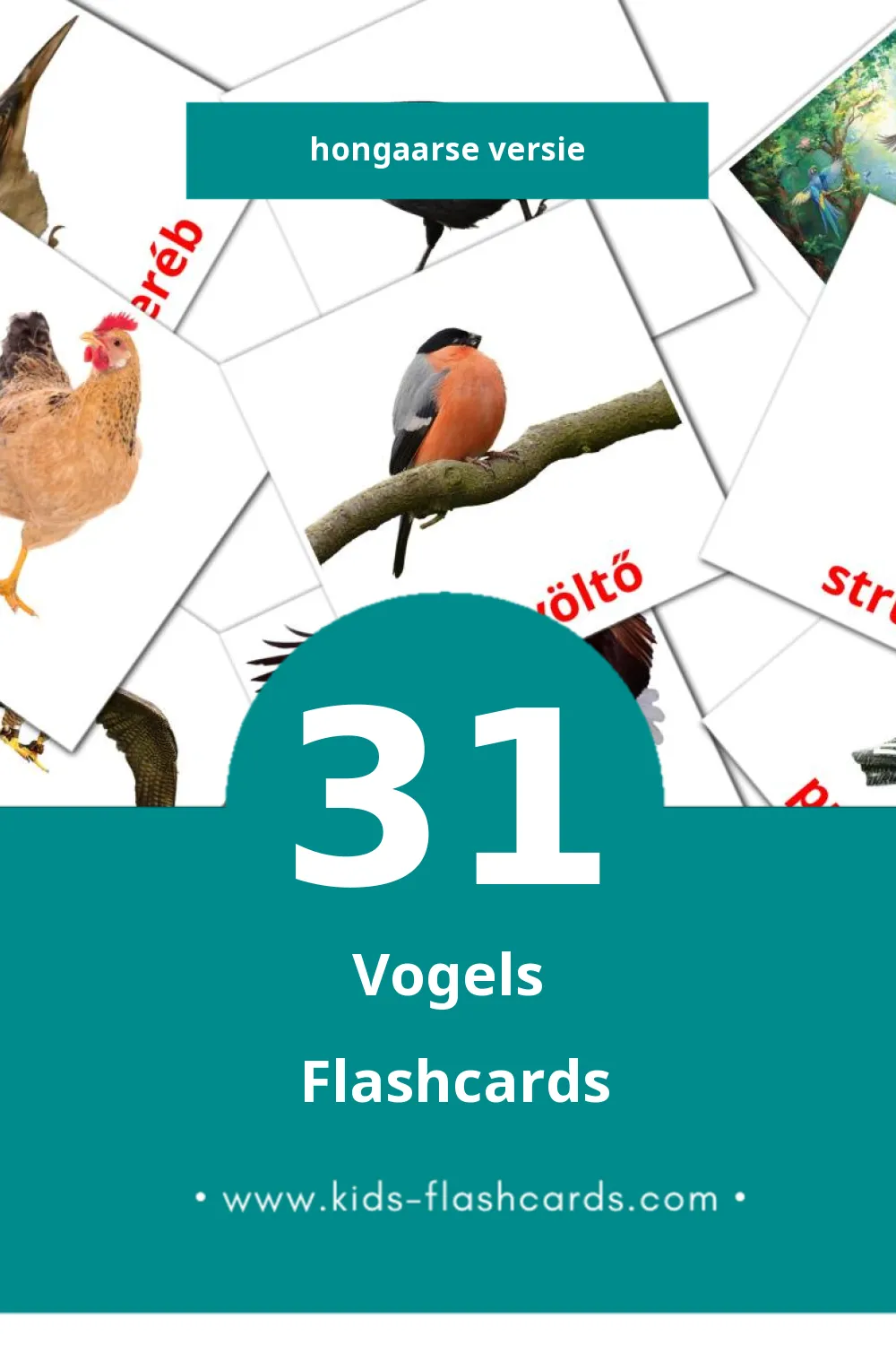 Visuele Madarak Flashcards voor Kleuters (31 kaarten in het Hongaars)