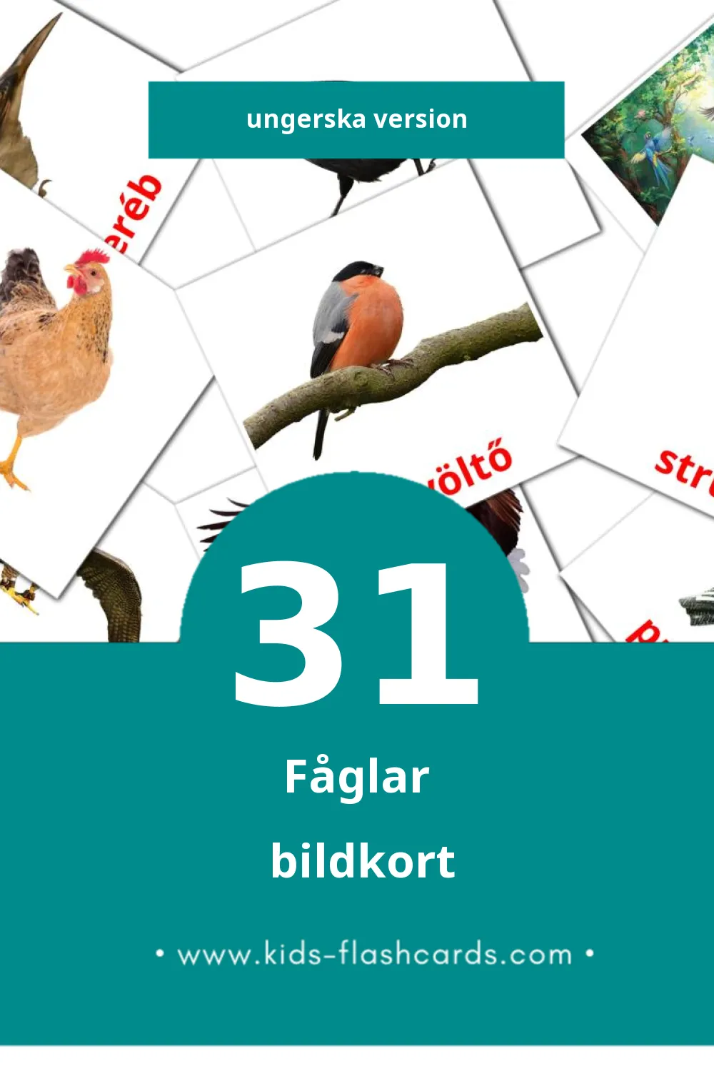 Visuella Madarak för småbarn (31 bildkort för barn på Ungerska)