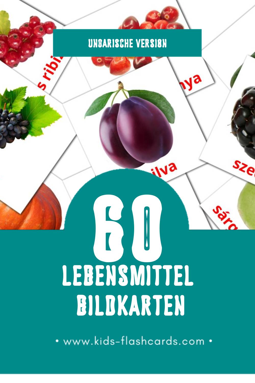 Visual Élelmiszer Flashcards für Kleinkinder (60 Karten in Ungarisch)