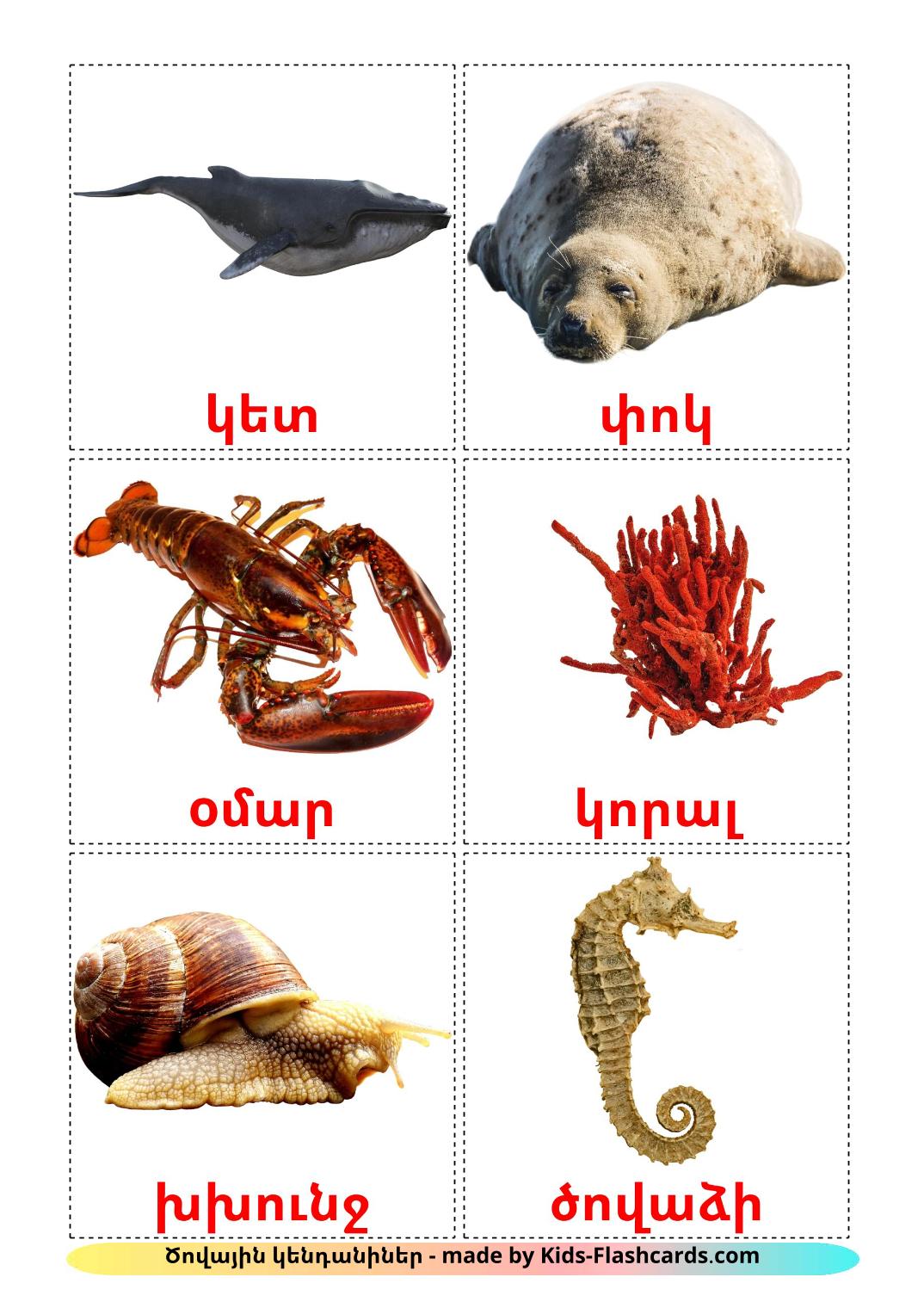 Animali marini - 29 flashcards armeno stampabili gratuitamente
