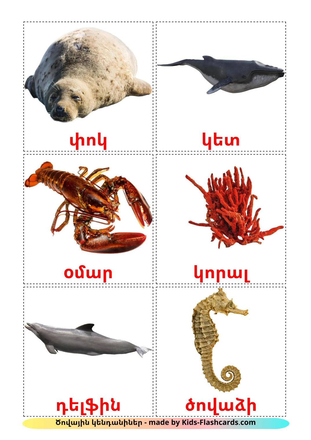 Sea animals - 30 Free Printable armenian Flashcards 