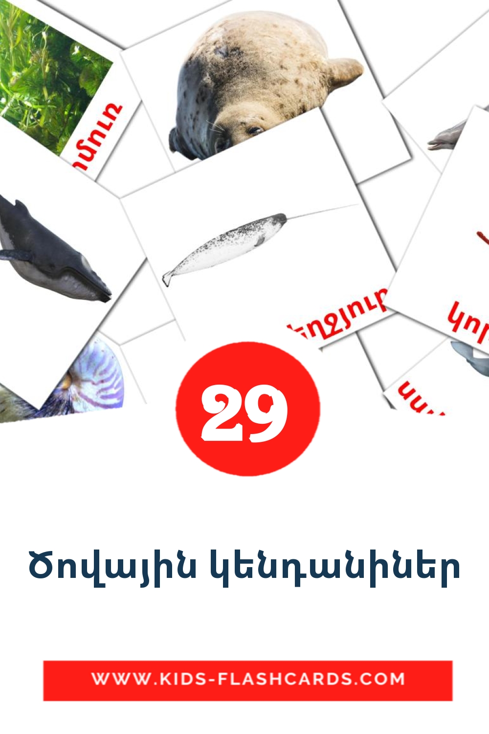 29 cartes illustrées de Ծովային կենդանիներ pour la maternelle en arménien