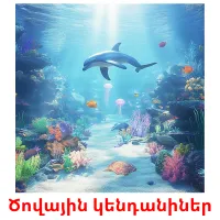 Ծովային կենդանիներ picture flashcards