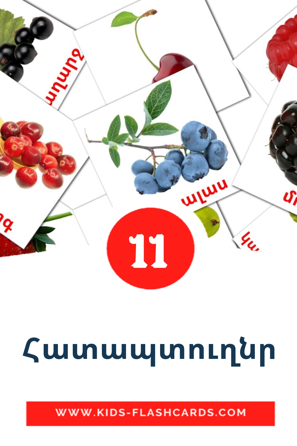 11 Հատապտուղնր Picture Cards for Kindergarden in armenian