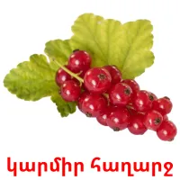 կարմիր հաղարջ Bildkarteikarten