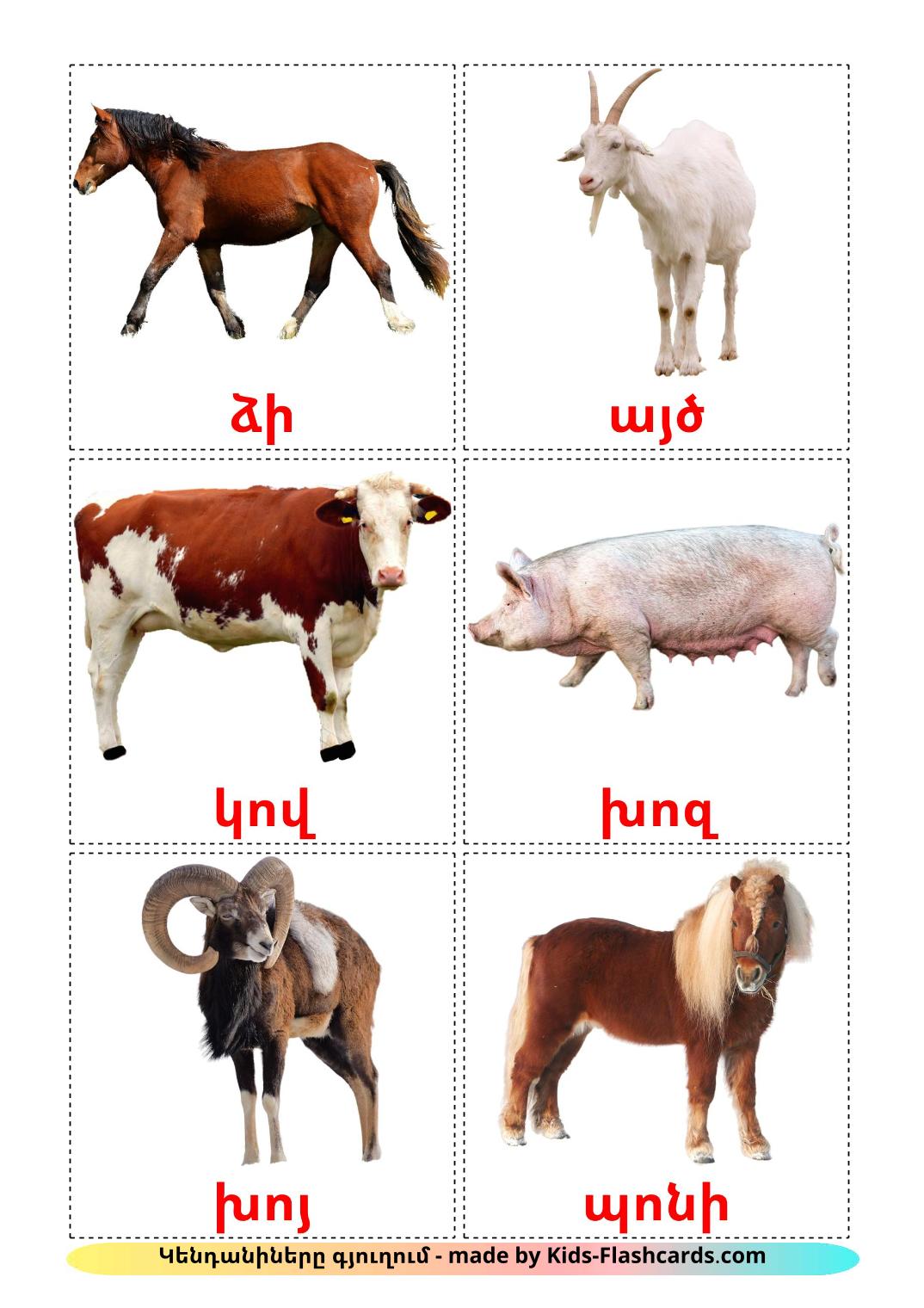 Farm animals - 15 Free Printable armenian Flashcards 