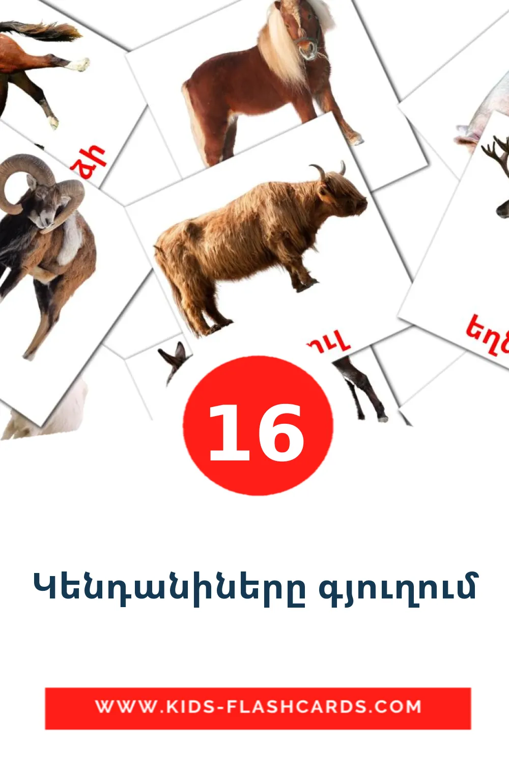 16 carte illustrate di Կենդանիները գյուղում per la scuola materna in armeno