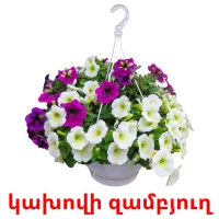 կախովի զամբյուղ ansichtkaarten