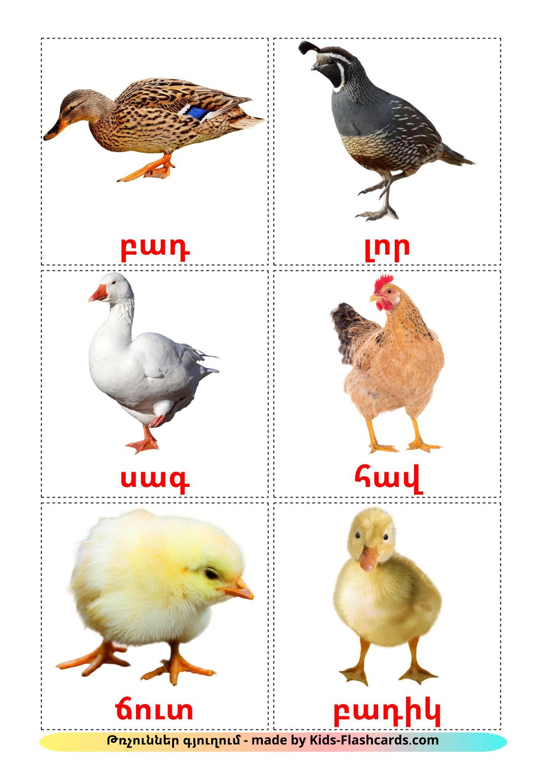 Bauernhof Vögel - 11 kostenlose, druckbare Armenisch Flashcards 