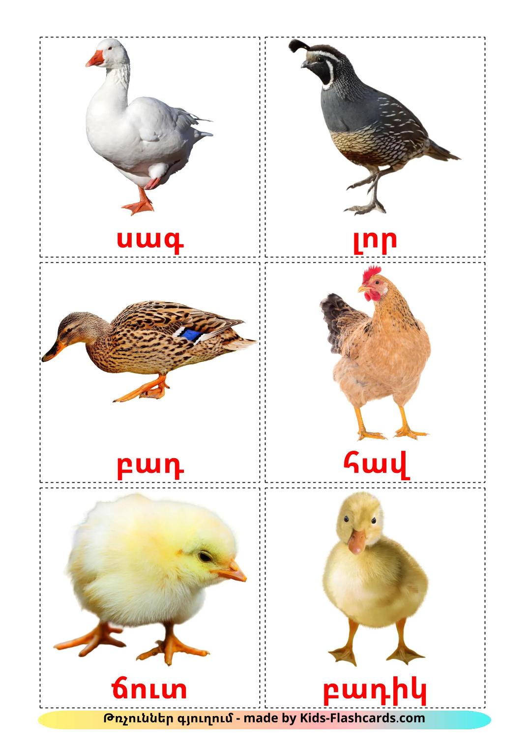 Bauernhof Vögel - 12 kostenlose, druckbare Armenisch Flashcards 