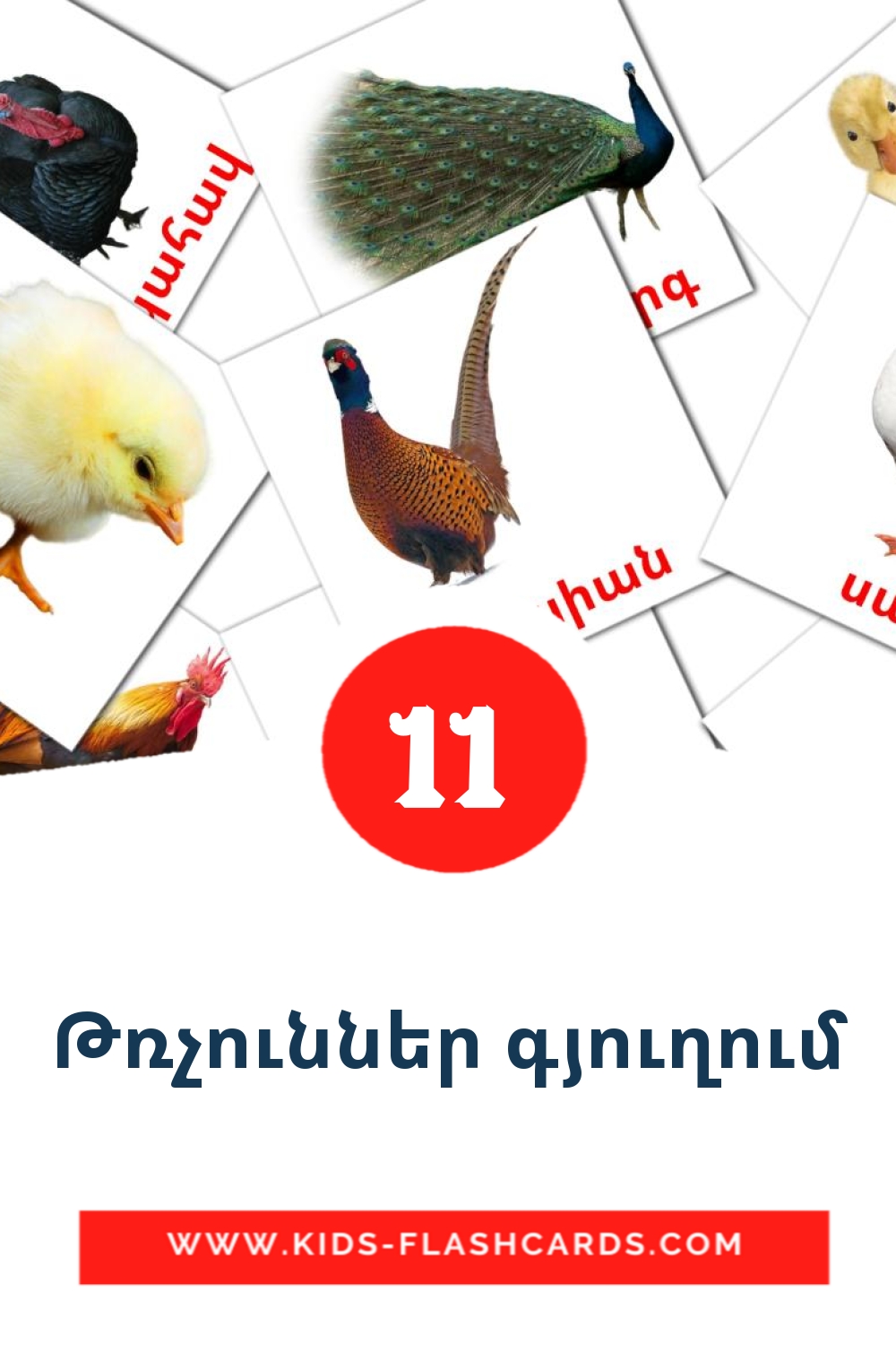 11 Թռչուններ գյուղում Picture Cards for Kindergarden in armenian